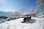 KAM-001936-Verschneite-Parkbank-in-Angerberg-Fotograf-Hannes-Dabernig